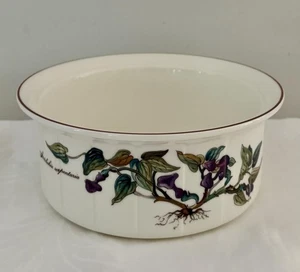 Villeroy & Boch Botanica 7.25"x3" Souffle Dish Bowl Baker Aristolochia Excellent - Picture 1 of 7