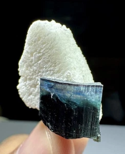 45 Karat natürlicher blauer Kap Turmalin Kristall mit Albiet Exemplar @ Pakistan - Bild 1 von 6