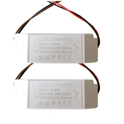 2-10x 3W 12W 18W 36w LED Driver Power Supply Transformer AC 110V 220V DC 12V 24V - Image 1 of 4