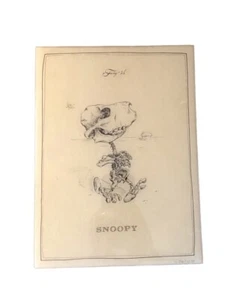 Signed Snoopy Dog Skeleton Art Wood Panel By Michael Paulus Cartoon Anatomy LE - Picture 1 of 14