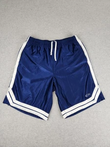 Vintage Y2K Champion C9 Dazzle Shimmer Silky blue Basketball Gym Shorts MEDIUM - Picture 1 of 12