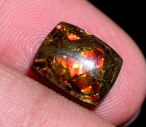 Natural Rare Ammolite Gemstone Cabochon 2.45 Ct Loose Ammolite Gemstone - Picture 1 of 5