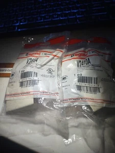 Wiremold V2410A Laufbahn Eingang Endbeschlag 2400 Serie Elfenbein Legrand Quan 2 - Bild 1 von 4