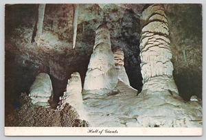 Postcard Hall of Giants Carlsbad Caverns National Park New Mexico Karst Geology - Picture 1 of 2