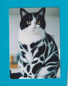 Beautiful Exotic Black and White Cat - Modern Linen Wide Swap Playing Card - Picture 1 of 1
