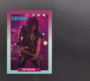 B1864- 1991 Rock Cards Music Card #s 1-200 -You Pick- 10+ FREE US SHIP