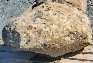 Large Glacial Boulders for Garden Features, Rockery Features, Water Features - Picture 1 of 4