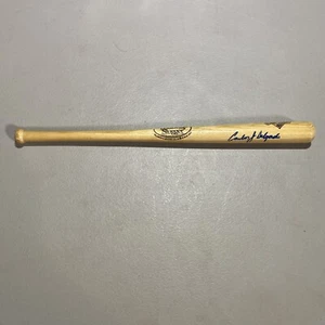 CARLOS DELGADO NYMets Mini Louisville Slugger Autographed MLB bat - Picture 1 of 5