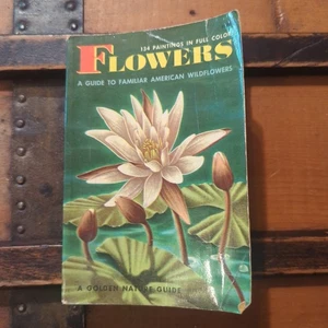 Flowers a Guide to Familiar American Wildflowers Golden Nature Guide Book 1950 - Bild 1 von 2