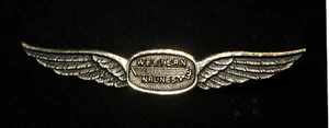  WESTERN AIRLINES TRANSCONTINENTAL NRUNES WINGS AIR TRANSPORT PIN UP PILOT CREW - Picture 1 of 1