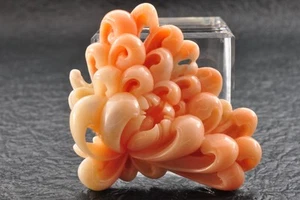 De colección Tallada Piel de Ángel Coral, "Peonía", con Certificado (total 173.0ct) Estuche. - Imagen 1 de 15
