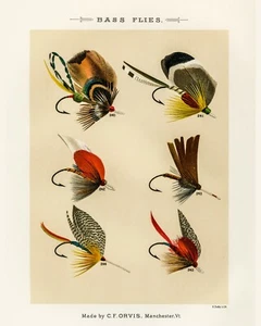 Druck oder Leinwand - Bassfliegen von Mary Orvis Marbury - Bild 1 von 1