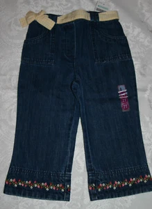 Gymboree STRAWBERRY PATCH Denim Jean Pants NWT 2T 3T - Picture 1 of 4