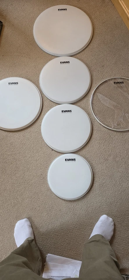 Used Coated Evans Drumheads Tom & Snare - Image 1 of 4