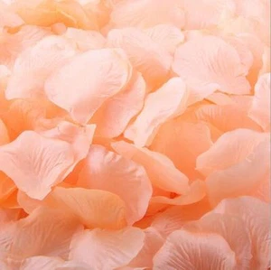 500pcs Peach Artificial  Rose Petals/ Wedding Petals Flower Girl Bashet Petals   - Picture 1 of 1