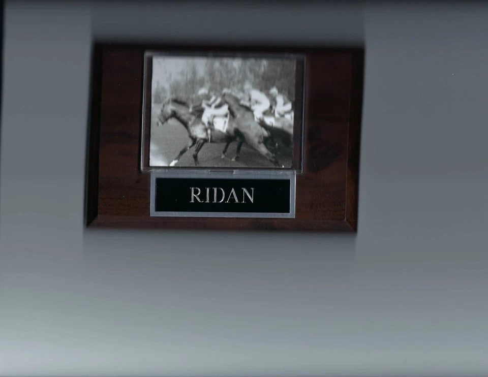 RIDAN ТАБЛИЧКА ЛОШАДИ ГОНКИ ДЕРНА - Изображение 1 из 1