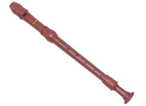 Premium Soprano Recorder With Wood Simulated Finish - Picture 1 of 4