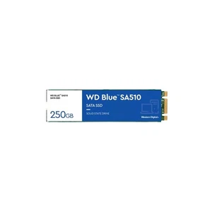 WESTERN DIGITAL SSD INTERNO BLUE 250GB M.2 SATA 6GB/S Read/Write 555/440 Mbs - Foto 1 di 1