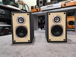 SAP COPPIA DIFFUSORI ATTIVI 2 VIE VALVOLARI 10 WATT RMS X 2 MADE IN ITALY  - Imagen 1 de 15