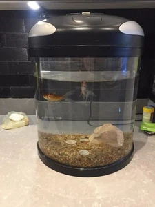 Interpet half moon fish tank Pod 19L no Fish! BARGAIN!!!!! SHEPHERD'S BUSH!!!!! - Picture 1 of 7