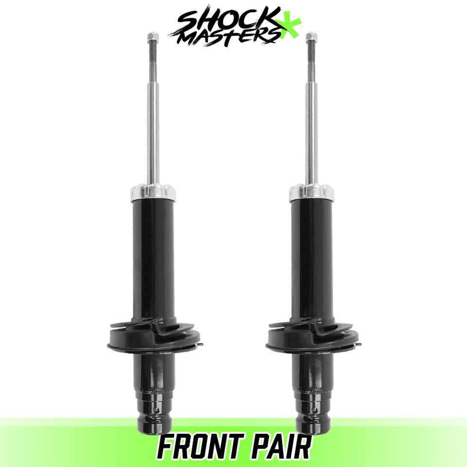 Front Pair Bare Strut Assemblies for 2002-2009 Chevrolet Trailblazer Foto 1 de 1