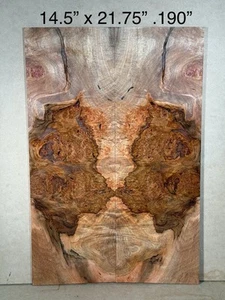 Ambrosia MAPLE BURL - Gitarrenplatte Gitarrenbauer Holz Schnittholz Materialien Bassgitarre - Bild 1 von 10