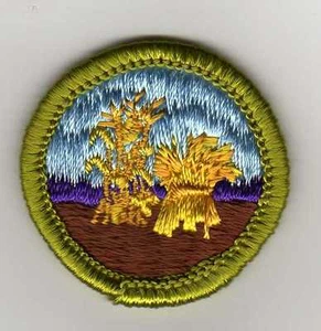 Retired - Small Grains Merit Badge, Type H, Clear Plastic Back (1972-1975), Mint - Picture 1 of 1