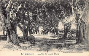 India - PUDUCHERRY Pondichéry - The alley to the large pond - Publ. Vincent 8 - Picture 1 of 2