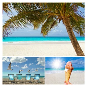 Beach Seaside Coconut Photography Background Photo Studio Backdrop Art Props - Picture 1 of 10