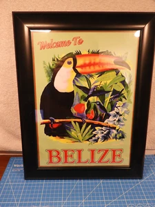 Retro-Stil gerahmtes Schild Welcome To Belize 12x16 mit Kiel Rechnung Tukan - Bild 1 von 3