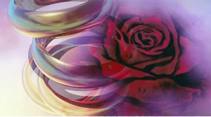 Foto Karte Eheringe mit Rosen.Prio Versand innerhalb der BRD - Bild 1 von 1