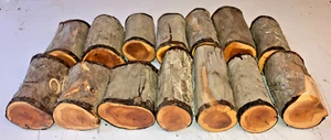 60-100MM DIAMETRO 14PZ LOTTO 318A TASSO TORNITURA LEGNO LEGNO VUOTO - Foto 1 di 1