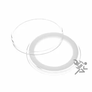Silver Gold Philharmonic Coin Capsule, Air-Tite Holders 37mm White Ring, 25 Pack - Picture 1 of 1