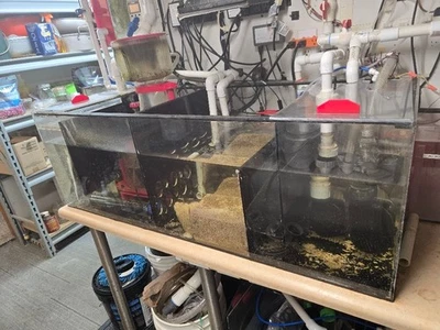 Pecera de agua satelital de 150 galones Foto 1 de 4