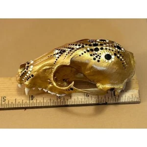 Hand painted Raccoon Skull Gold and Black - Picture 1 of 5