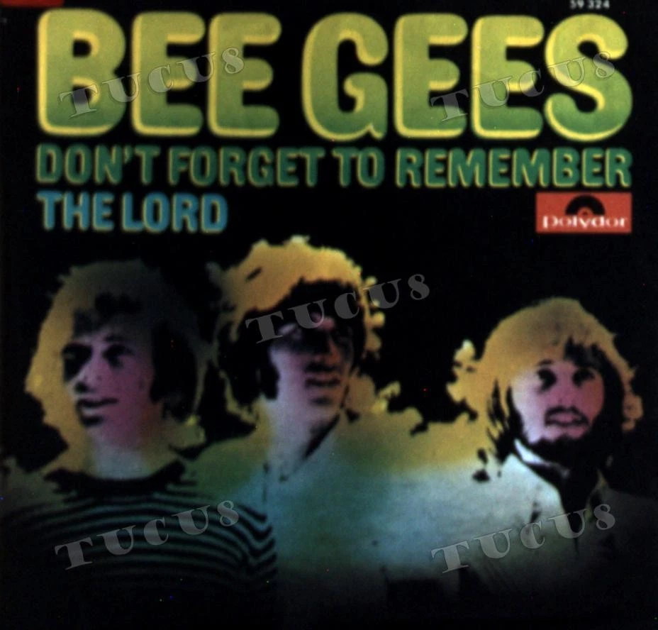 The Bee Gees - Don't Forget To Remember 7" (VG+/VG+) '* - Image 1 of 1
