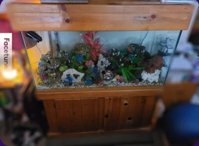 Аквариум 90 галлонов со всеми аксессуарами все, что вам когда-либо понадобится  - Изображение 1 из 4