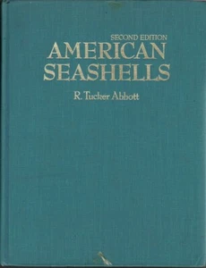 Amerikanische Muscheln Meeresmolluska der Atlantik- und Pazifikküste Nordamerikas - Bild 1 von 1
