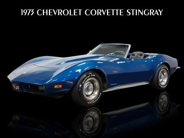 Chevrolet Corvette Stingray 1973 en azul nuevo letrero de metal: 9x12 envío gratuito Foto 1 de 1