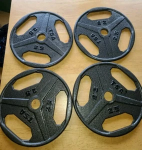 4x TSA Grip Gray Barbell Dumbbell Weight Plates 1" Hole 2.5 Lbs Cast Iron - Picture 1 of 2