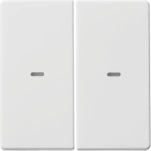 Tast-Abdeck. 2f.Tasten.-Modul BERKER 2f.Tastsen.-Modul Q.x pw 80960329 (32506171 - Bild 1 von 2