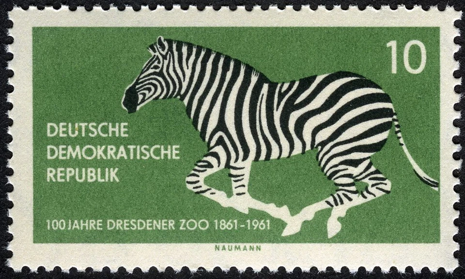 Germany DDR 1961 Dresden Zoo Centennial Zebra MNH (SC# 552) - Image 1 of 1