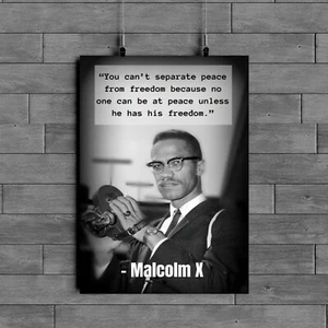 Malcom X Quote on "Peace and Freedom" Classroom Poster Motivational Print 12x18 - Picture 1 of 5