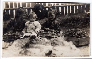 DOG RPPC 2 Cute Little Girls BABY Big BLACK Cyko OLD Vintage Real Photo Postcard - Picture 1 of 2