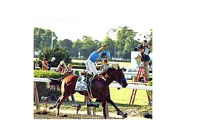 Foto 16x20 Victor Espinoza autografata e inseritrice "2015 Triple Crown" (CX Auth) - Foto 1 di 1