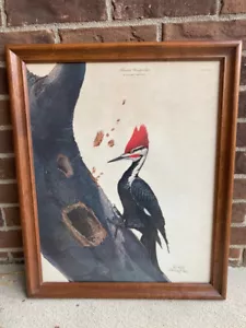 Vtg Ray Harm Limited Ed Framed Hand Signed Bird Print "Pileated Woodpecker" 1966 - Picture 1 of 17