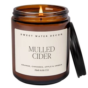 Mulled Cider Soy Candle - Picture 1 of 3