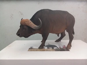 African buffalo GK figure Mr Z Model Studio - Imagen 1 de 7