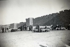 JERUSALEM c. 1925 - Bergers - Grand Négatif 17 x 12 - 31 - Picture 1 of 1