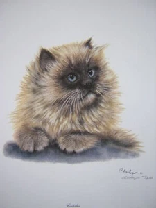 Charleyn Cuddles Sofficile Gatto Edizione Limitata Stampa Artistica Firmata - Foto 1 di 1